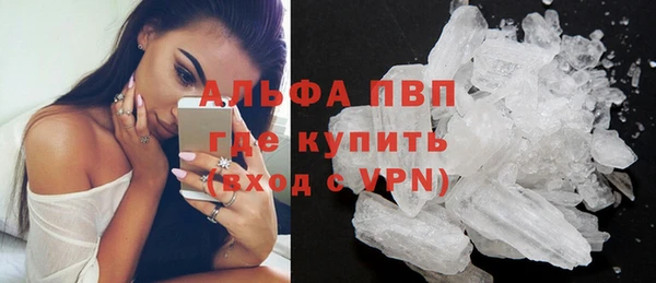 PSILOCYBIN Бородино