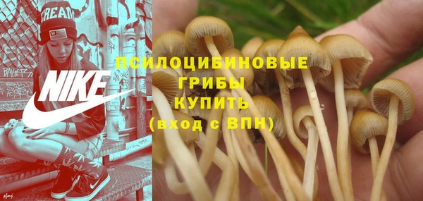 винт Бронницы