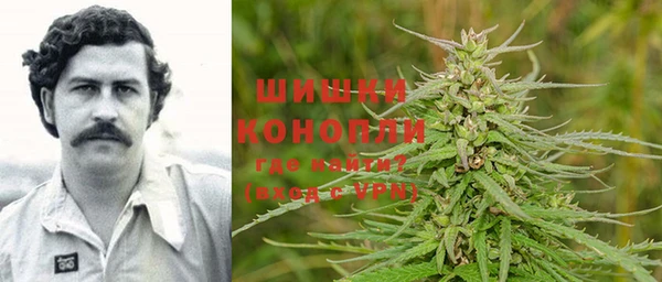 PSILOCYBIN Бородино