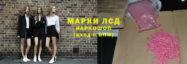 PSILOCYBIN Бородино