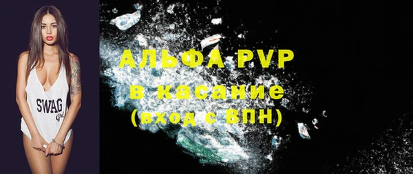 PSILOCYBIN Бородино