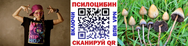 Псилоцибиновые грибы GOLDEN TEACHER  Княгинино 